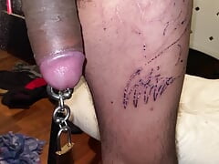 Dangling my 8mm Pierced cock chained to a Padlock and Edging a Little Bit and Closing up on my Cock