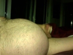 Silver Daddy Bear