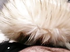 Miss Selfridge Khaki Luxe Fur Hood Parka - Wank Video