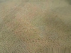 STRAIGHT MIL ( KOBE BJ-02 ) #2319;#2325; #2324;#2352; #2325;#2375;#2357;#2354; #2330;#2375;#2361;#235