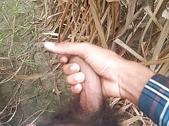 Indian gay