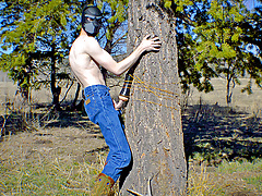 Fucking a Tree With a Sex Toy Strapped to it in a doggy mask