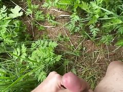 In the Forest.