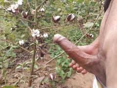 Big Cock Piss and Cumshot in Outdoor
