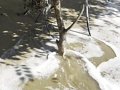 On the beach - fucking with tree