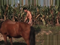 meili renjialiang xiaoyaoyou