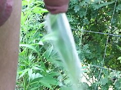 Piss by side a hempfield