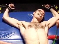 Amateur, friend group, acquaintance