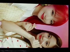 IZONE Minju & Yuri cum tribute
