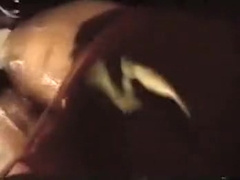 Danji - Macho Bulk Battle