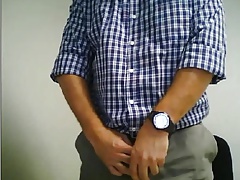 Spanish bear wanking in office