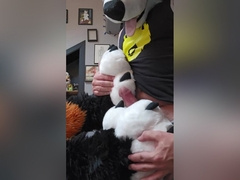 Furry Step-bro Teases Edges And Pushed Voz Over The Edge