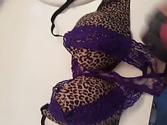 Cum on Tasha's Leopard print bra and lace panties