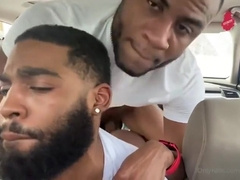 Navajo Malik - Pablo Strokes