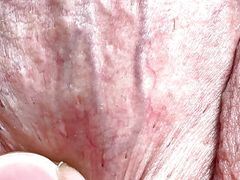 Very accurate details of the cock and testicles in the best quality