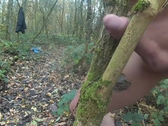 in het bos 2