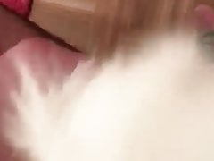 Wonderful Fox Tail Cumshot