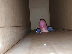 Fuck my tv box