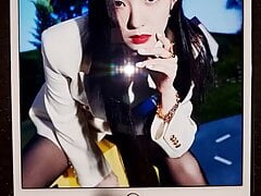 Red Velvet Irene Cum Tribute 3