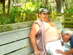 Gay men, gay young, gay guys