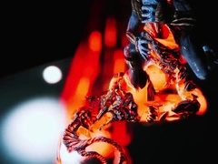 Dame Flame Atronarch [SZYCA]