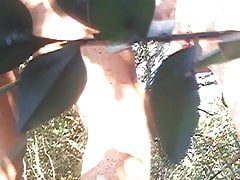 Got fucked in the woods