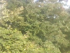 Wank in nature