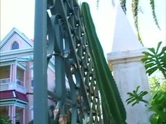 Exotic male pornstars Damon Wolf and Braeden Casey in amazing blowjob, masturbation homo sex movie