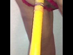 Bat in Butt 24-Sep-2018