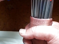 Foreskin with 16 pens