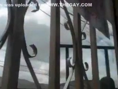 exhib boys playing in front of the window