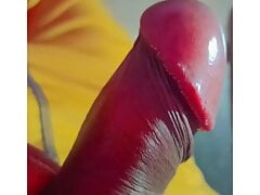 Ankita Tiwari viral sex video Big Penis Desi