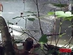 FM-Jungle Breeding