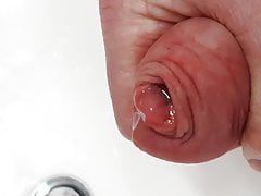 Precum flowing out of pumped dick