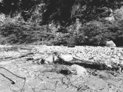 Naturism in the gorge