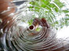 POV you get drenched with hot piss