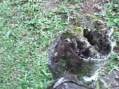 Camp Hard Rocks Scene 3