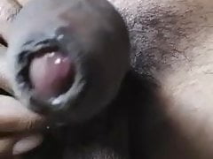 indian big cock shaking