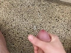 My horny Cock
