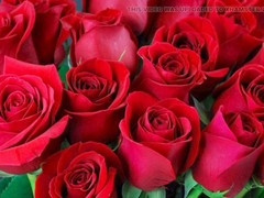 Bangladeshi, fucked by, boyfriends