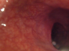 POINT OF VIEW - Thrusting you in deep with a 12in fake penis