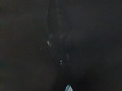 pisse dans collant
