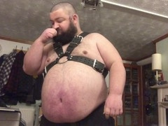 Chubby bear Hoggtubbs in a harness with a big belly and a gay funnel