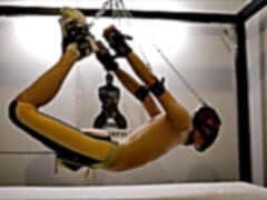 flying hog-tie