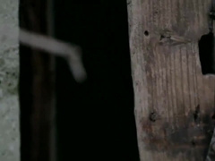 Handsome Guy In Hard Gay Porn Video