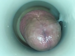 Horny Cock by cum cam man