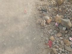 Seeing his daughter-in-law having sex on the street