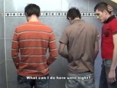 Unbridled threeway frigging after furious cock sucking.