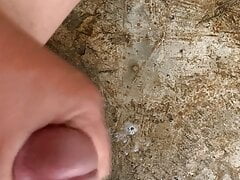 Another cum for today!