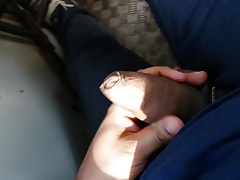 Paja en el bus II